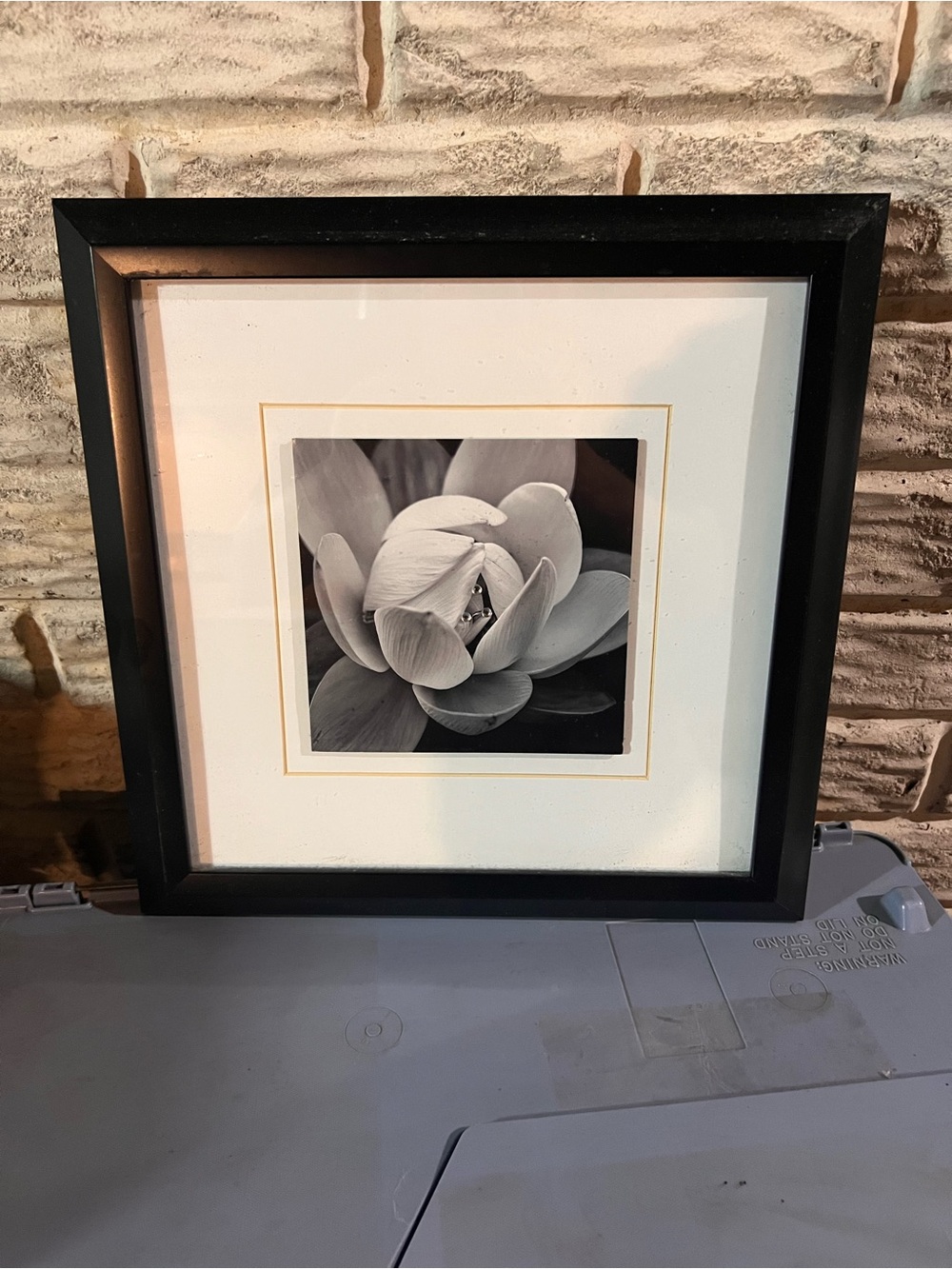 13”x13” Framed Black Floral Wall Art - Black Frame